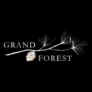 Grand Forest